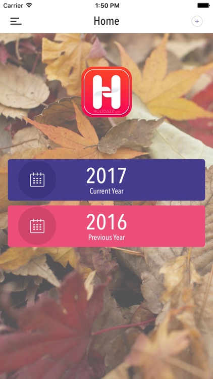 Holidaze App