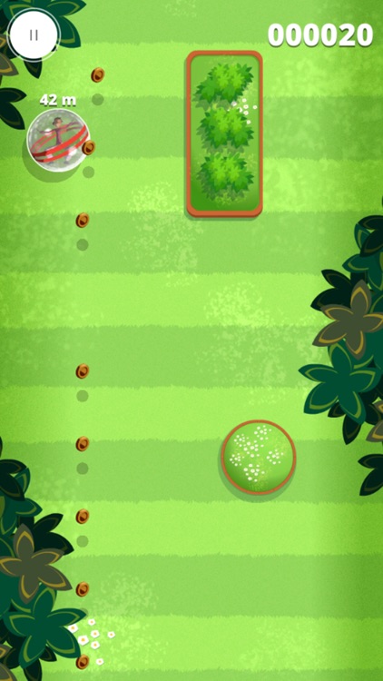 Zorbing Mania screenshot-3