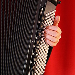 How to Play Accordion Easily