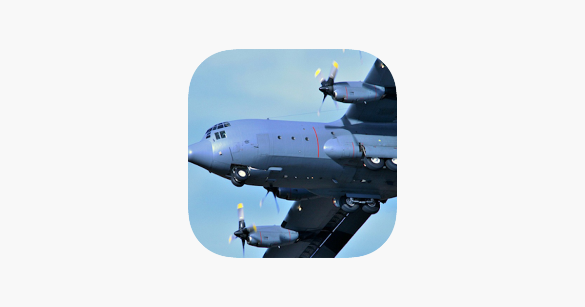 ‎Flight Simulator Transporter Airplane Games