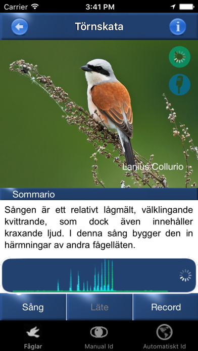 Fågelsång Id  - automatisk identifiering av fåglar Screenshot 2