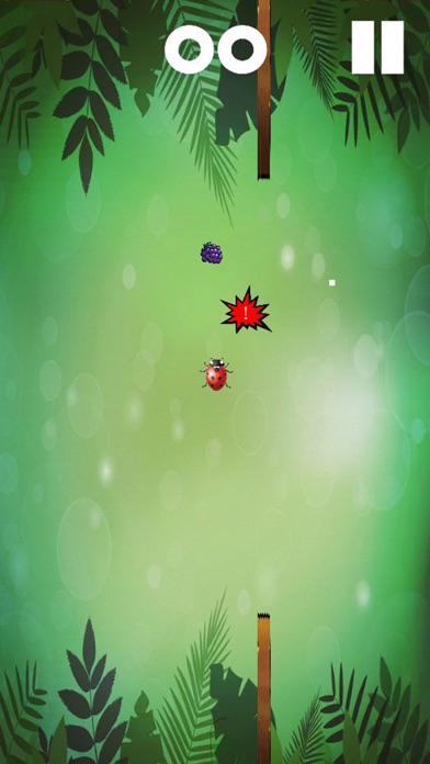 Feed Bug screenshot 4