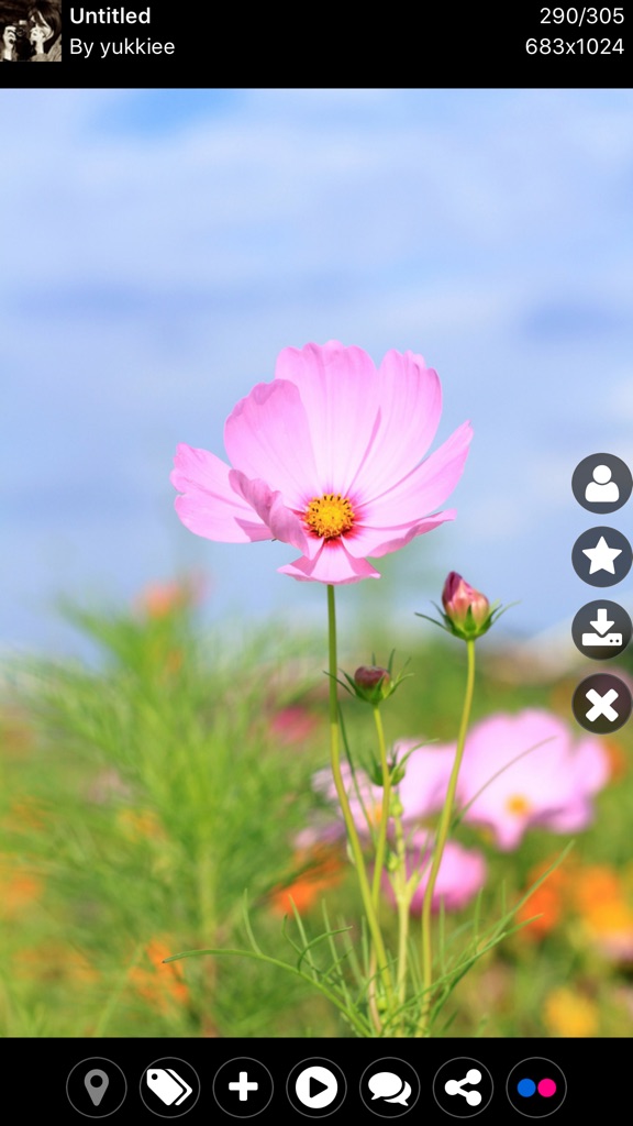 【图】FLExplorer for Flickr Pro(截图2)