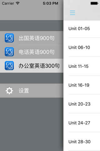 实用交际英语口语大全 -出国留学生活工作必备 screenshot 4