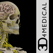 Brain & Nervous System Pro III