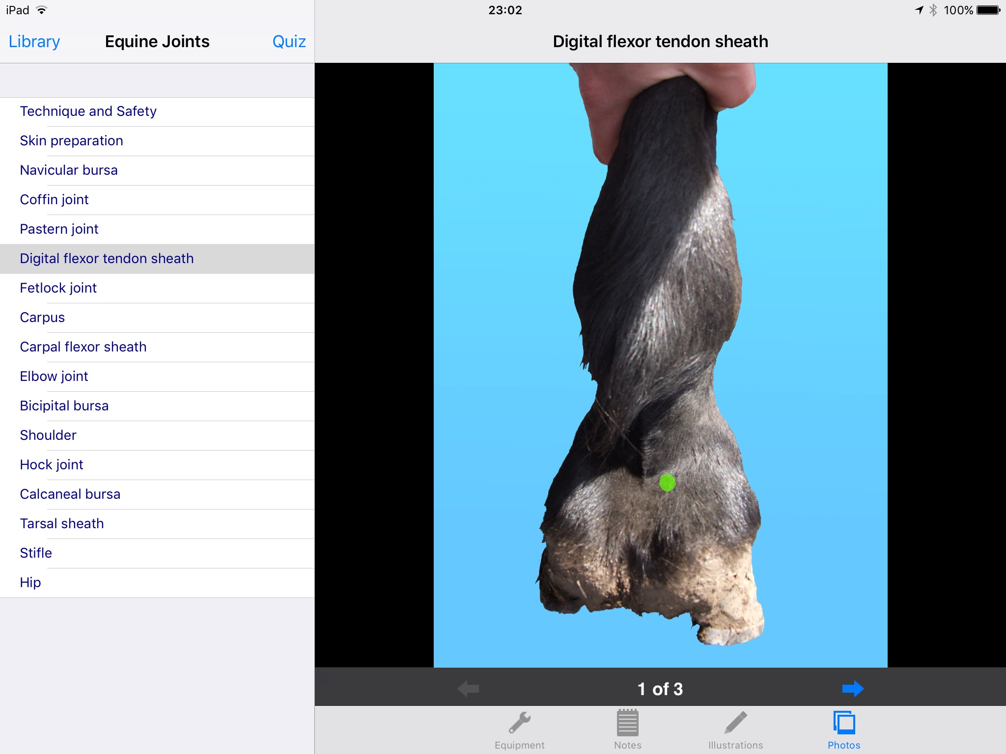 Equine Joint Injections screenshot 3
