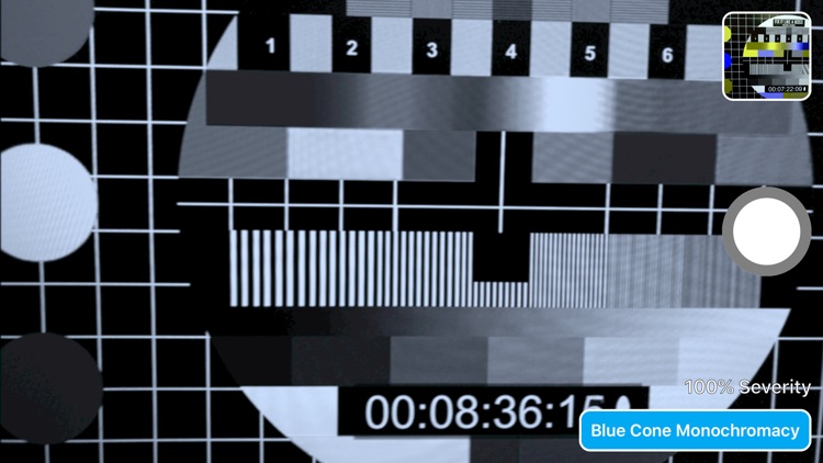 Vision Impairment Simulator