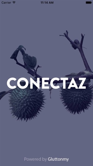 CONECTÁZ(圖1)-速報App