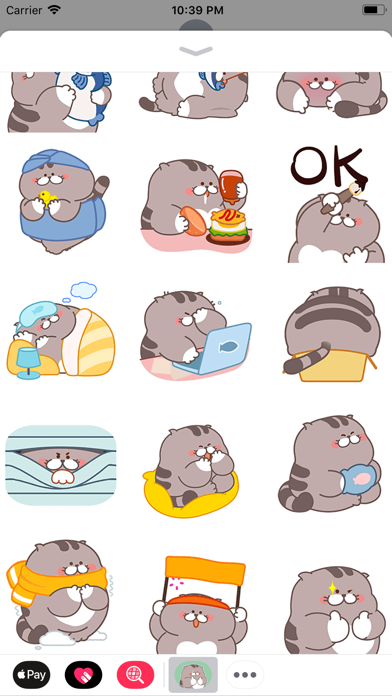 Chubby Cat Animated Stickers screenshot 2