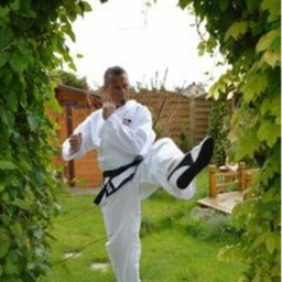 Tong-IL TKD