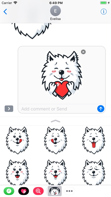 Samoyed Fram