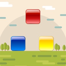 Activities of ColorBox Game