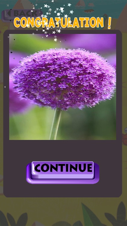 Puzzle Learning Flower Games Edition screenshot-3