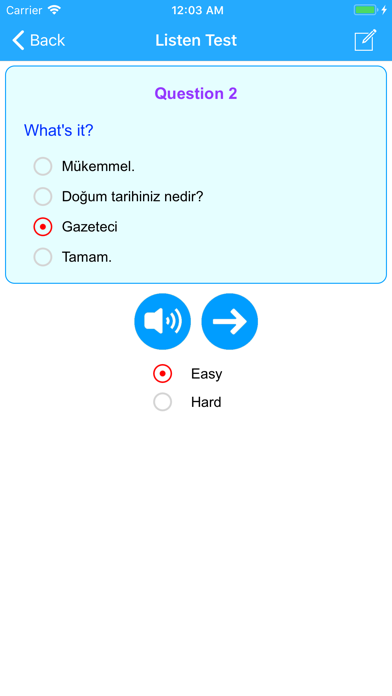 Learn Turkish Language Offline screenshot 4