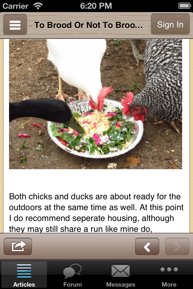 Backyard Chickens (BYC) screenshot 2