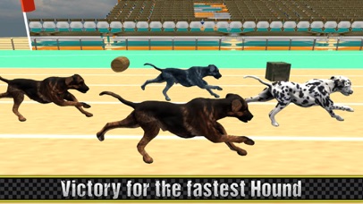 Lava Super Hound Racing screenshot 3