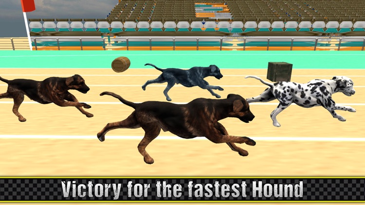 Lava Super Hound Racing