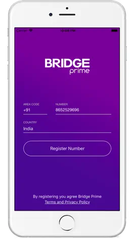 Game screenshot Bridge Prime mod apk