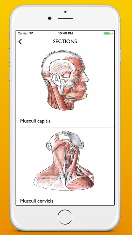 Myology atlas app screenshot-4