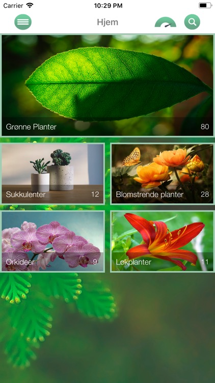 Vanne blomster app