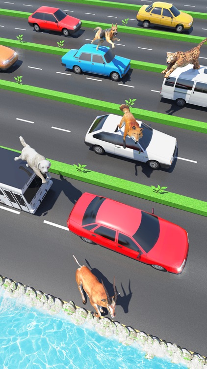 Animal Pet Traffic Crossing screenshot-5