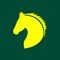 Live horse racing tracking, the insight of odds and pools is available for you now