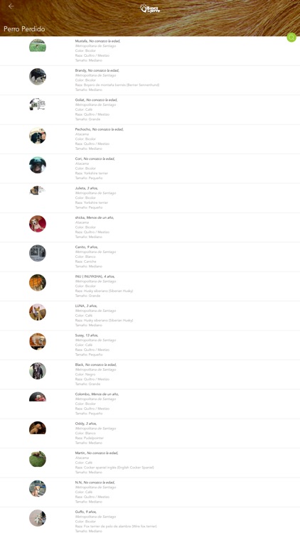Busca tu Perro screenshot-3