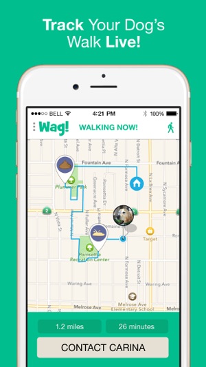 wag instant dog walkers on the app store wag walker flyers