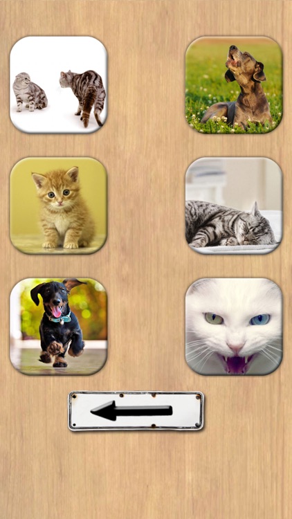 Animal Sounds – Dogs, Cats screenshot-4