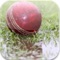 DL Method Calculator | Cricket Target Score Calculation