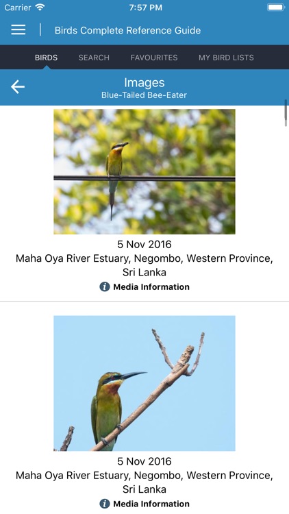 Birds Complete Reference Guide screenshot-4