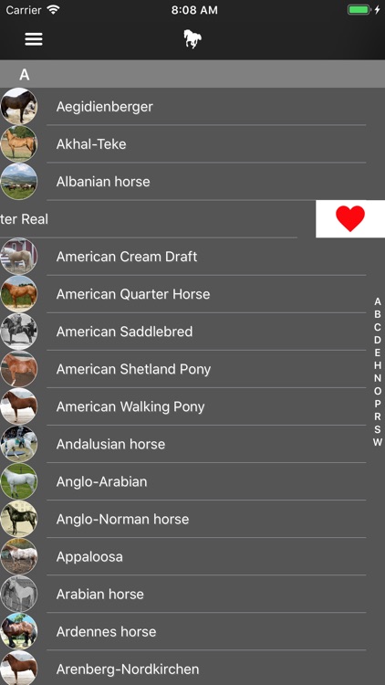 Horses 2.0 screenshot-3