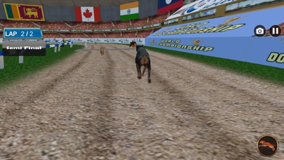 Dog Racing Tournament 2018 screenshot 3