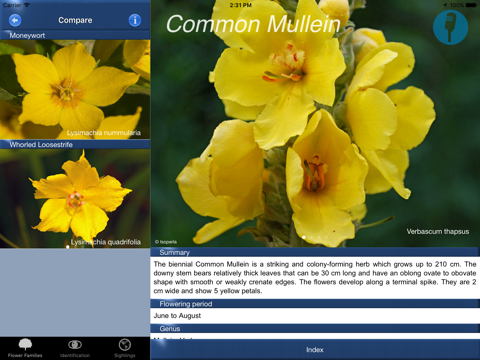 Wildflower Id USA Photo Recognition Guide NE - náhled