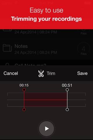 Recorder Plus : Voice Recorder screenshot 4