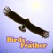 Icon Birds Of A Feather Scorekeeper