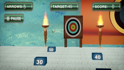 Archery Targets Super Hit screenshot 2