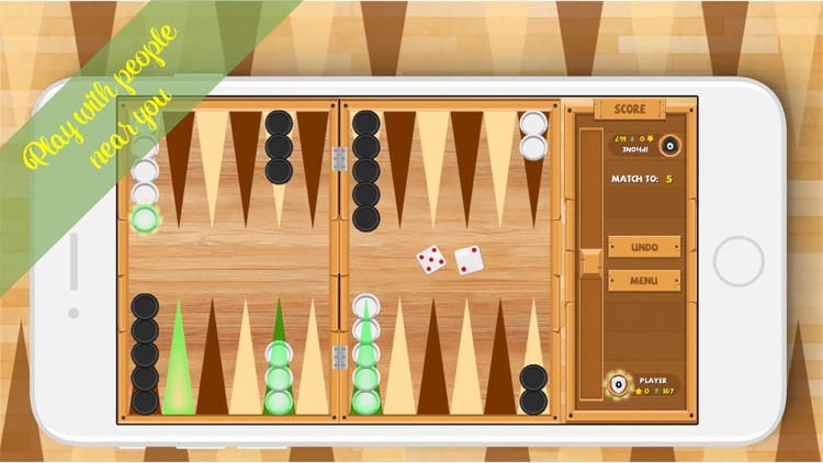 Backgammon Plus Pro screenshot-4