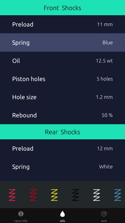 RC Shocks Setup