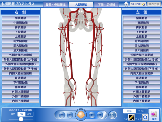 末梢動脈3Dアトラスのおすすめ画像2
