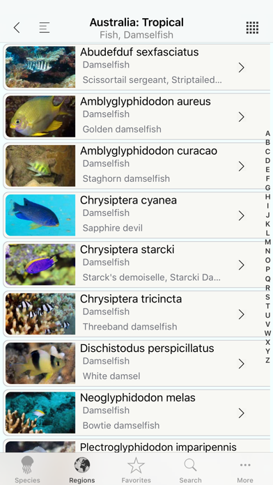 How to cancel & delete Fishes, by Reef Life from iphone & ipad 4