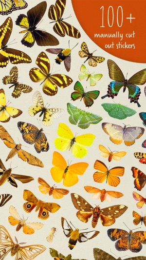 100+ stickers of butterflies(圖1)-速報App