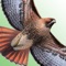 This is a LITE version of The Sibley eGuide to the Birds of North America but is fully functional and includes ONLY 30 species, compared to 813 species in the full app