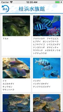 Game screenshot i 水族館 For 桂浜水族館＆足摺海洋館 apk