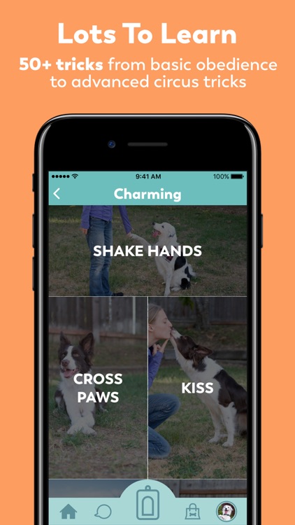 Puppr - Dog Training & Tricks