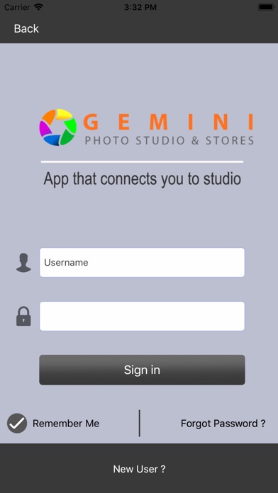 Gemini Studio screenshot 4