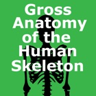 Top 46 Medical Apps Like Gross Anatomy of the Skeleton - Best Alternatives