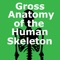 Gross anatomy is defined as the study of anatomy with the unaided eye, essentially visual observation without the use of significant magnifying technologies