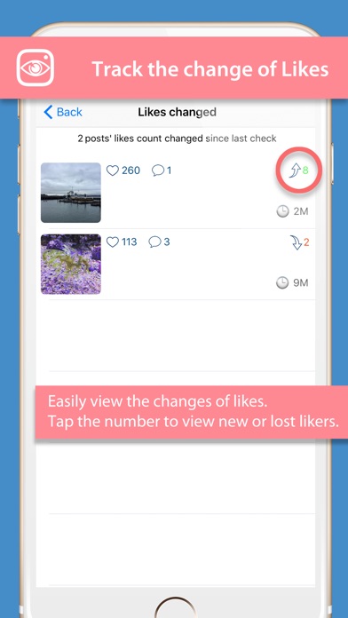 InsView - Pro Followers Report screenshot 3