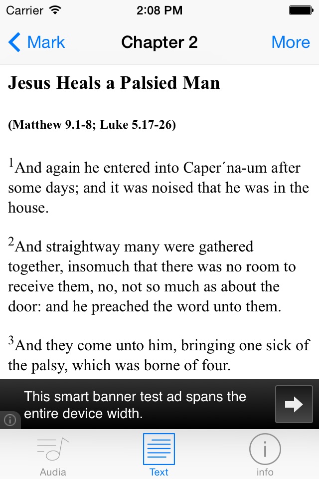 Bible - Audio And Text screenshot 4